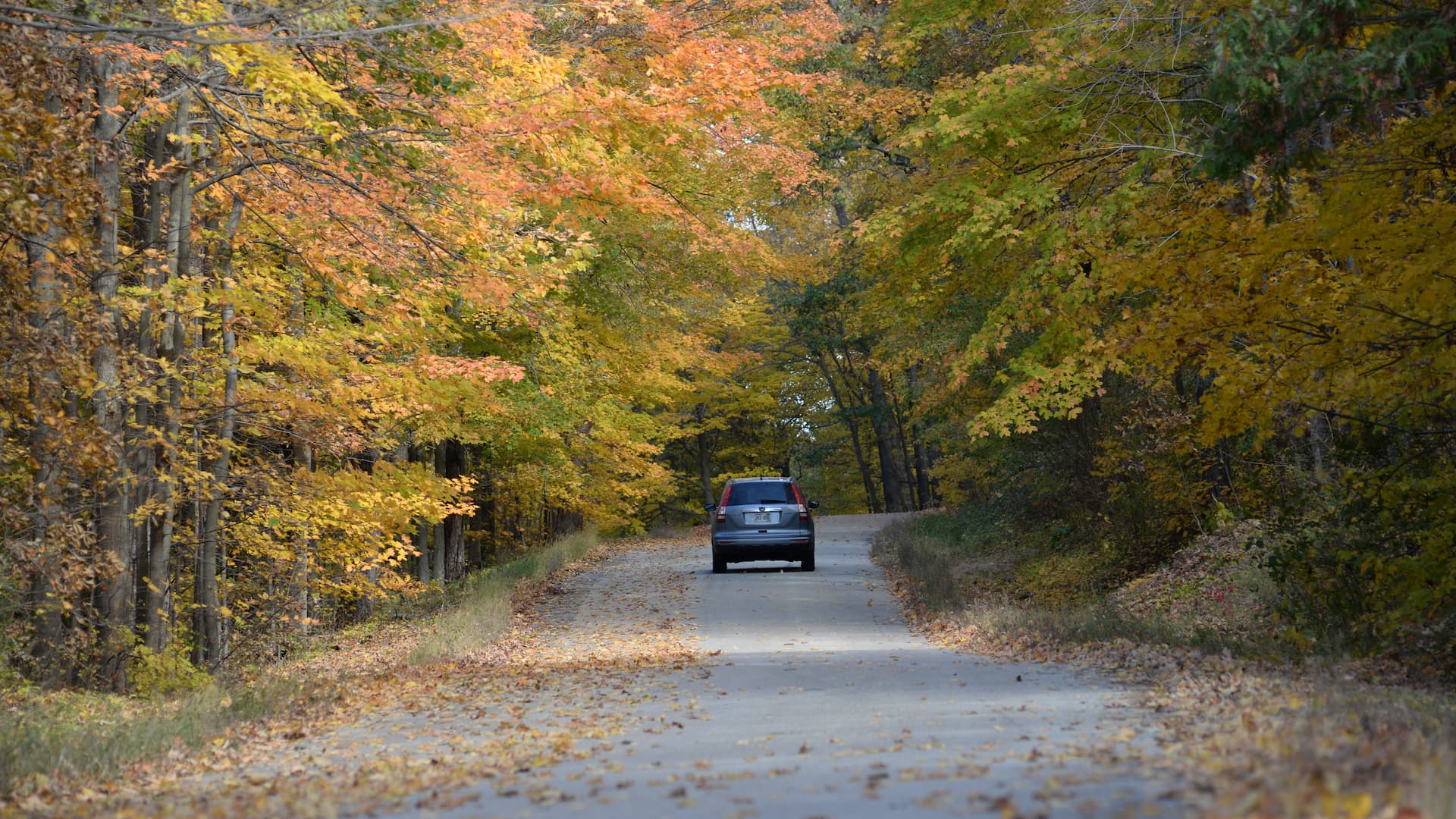 Where to see fall color in West Bend - Visit West Bend, Wisconsin