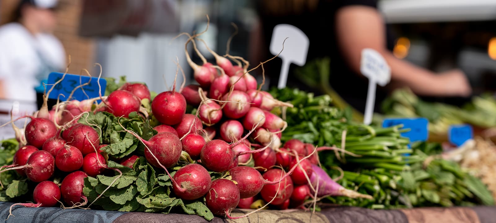 Vwb Banner Photos Farmers Market
