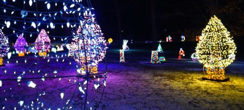 Vwb Banner Photos Enchantment