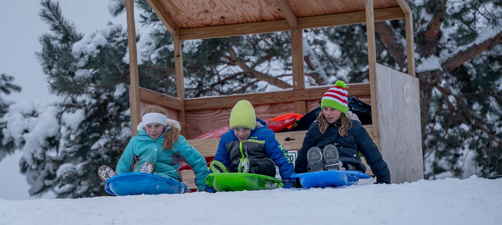 Vwb Banner Photos Sledding